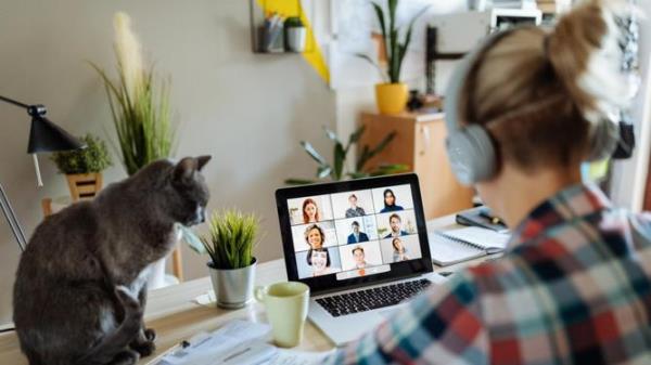 New reality - working from home with pets and kids