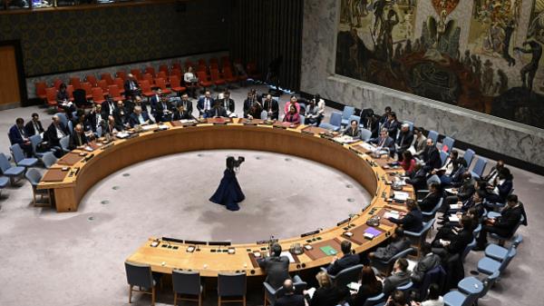 UN Security Council